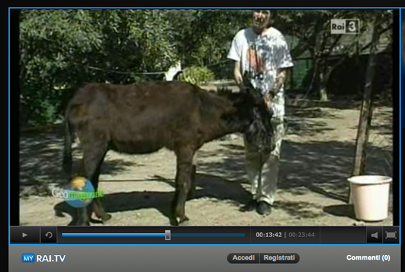 SOS Animali a Paros