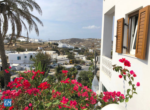 Hotel Mykonos