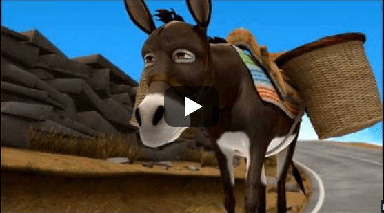 Filmato di un asino greco