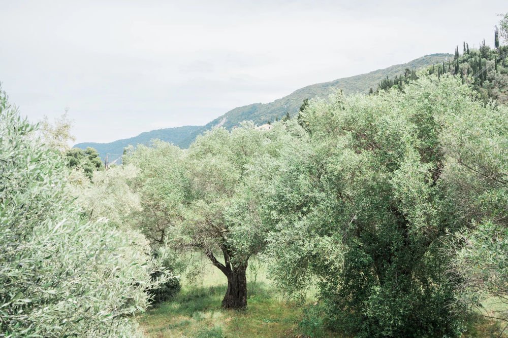 Afroditi Pansion Agios Nikitas