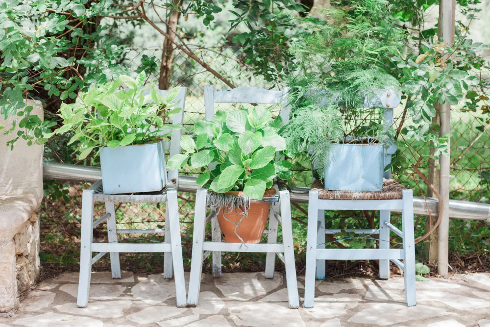 Afroditi Pansion Agios Nikitas