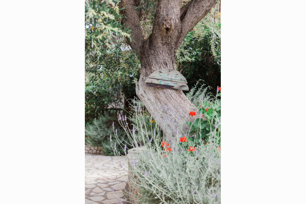 Afroditi Pansion Agios Nikitas