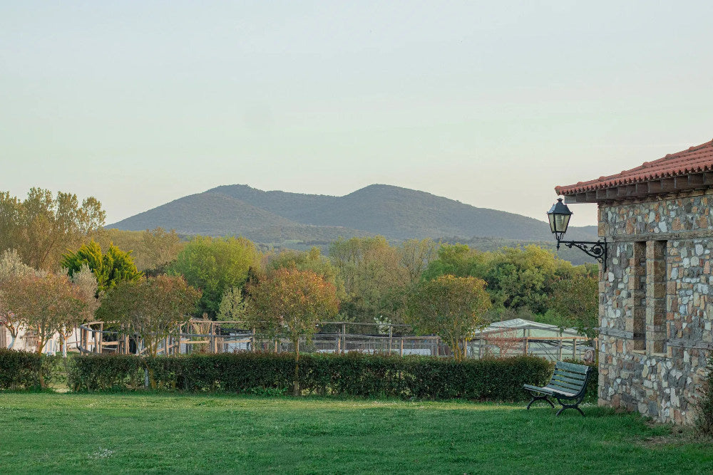 Agriturismo Platanorema