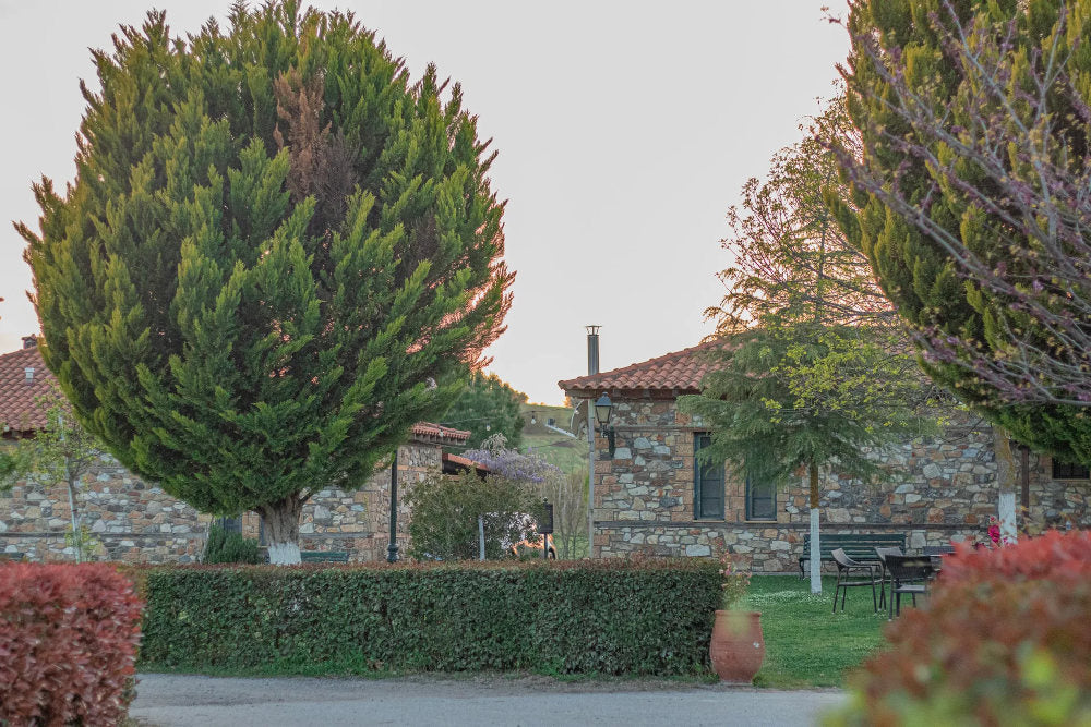 Agriturismo Platanorema