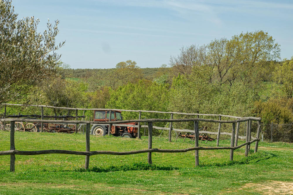 Agriturismo Platanorema