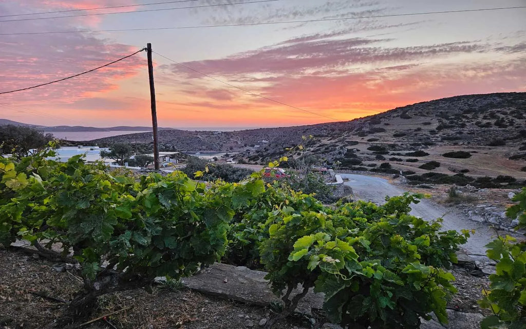 Schinoussa Ailouros Hotel