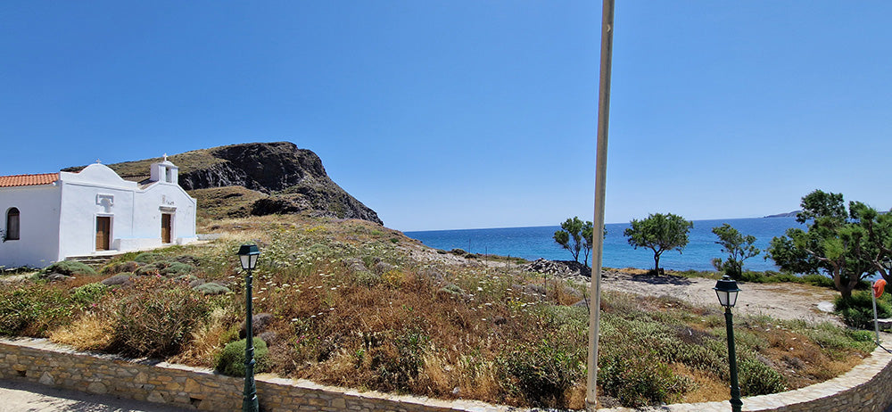 Anna Studios
