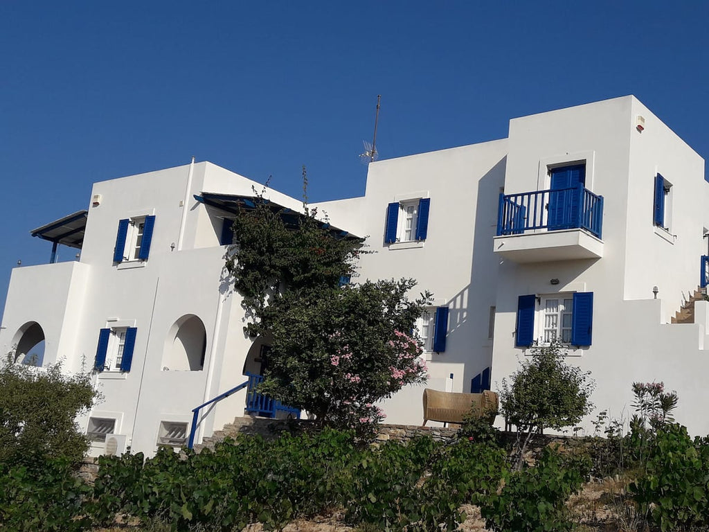 Casa Argyrios Schinoussa