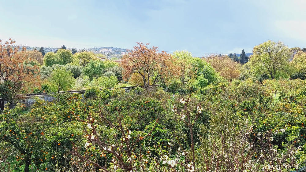 Chios Bella Cisterna