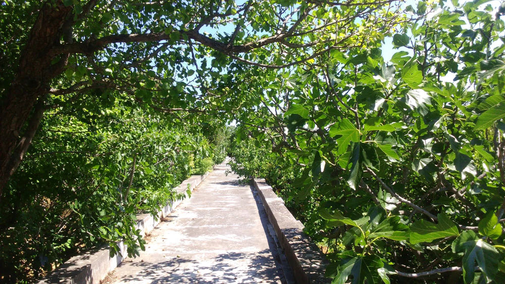 Chios Bella Cisterna
