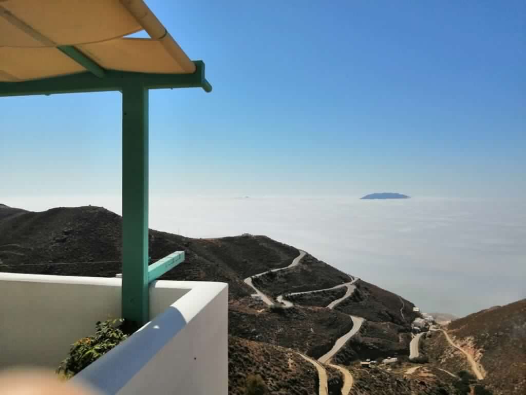 Flora's Rooms & Studios