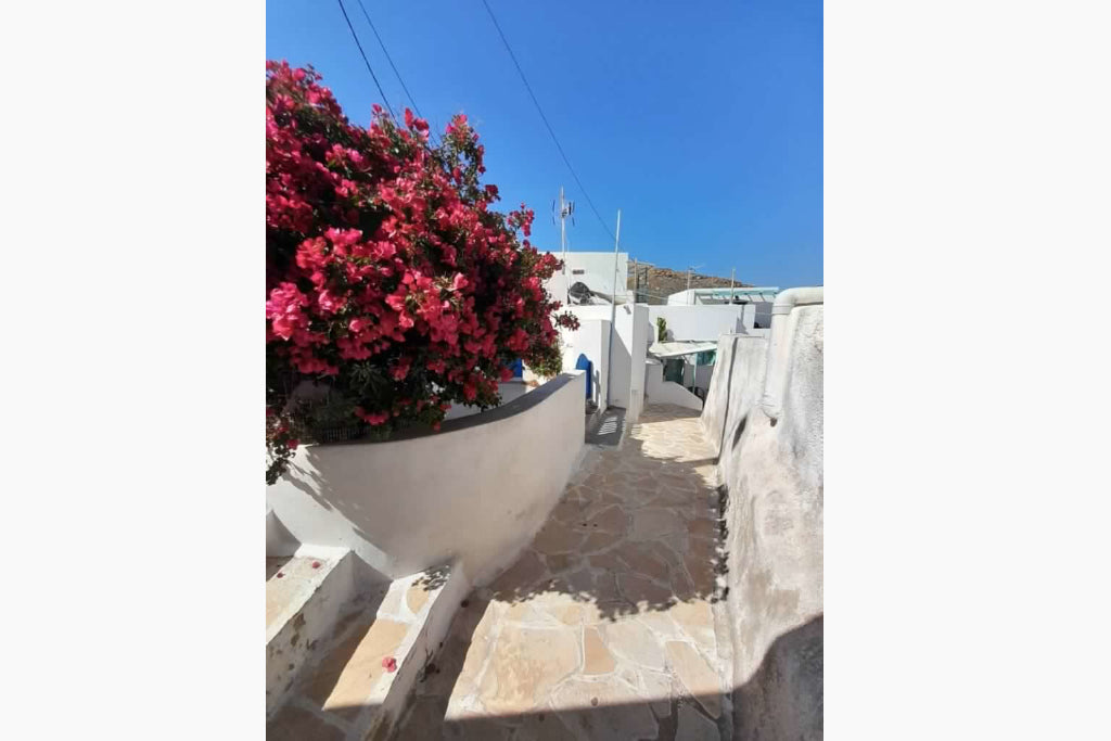 Flora's Rooms & Studios