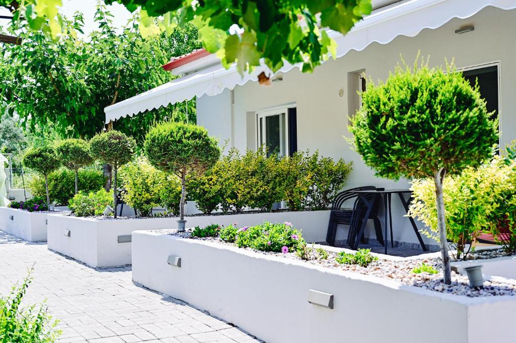 Studio per 2, 3, 4 persone in Penisola Calcidica