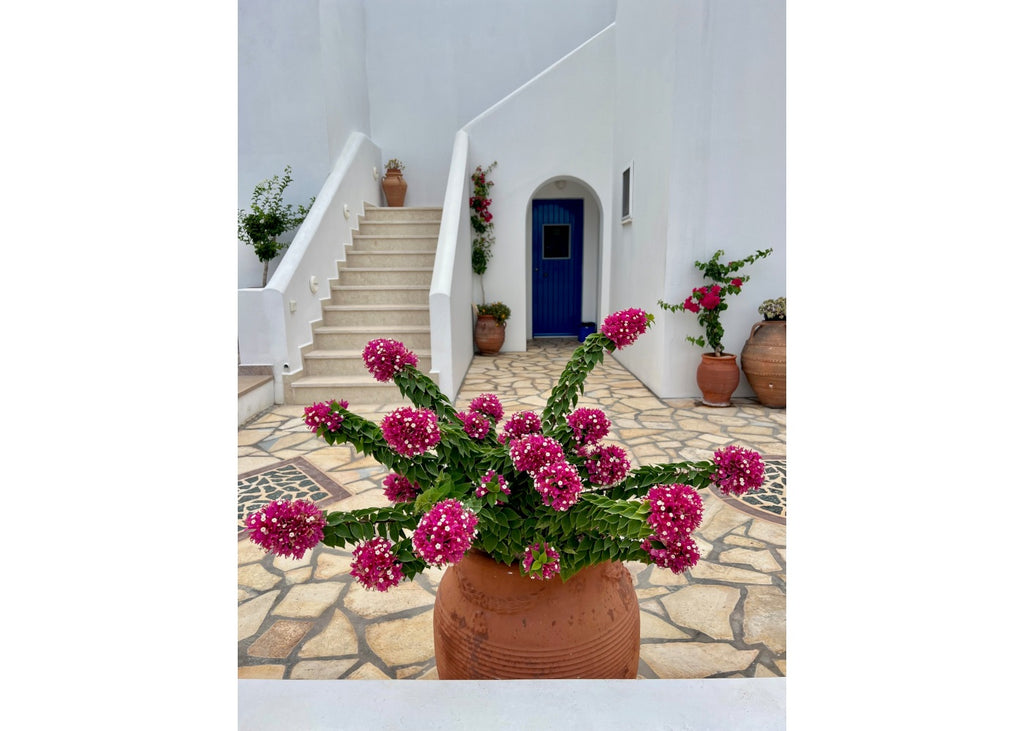 Avlemonas - Appartamenti sul mare