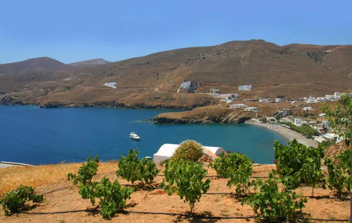 Kalderimi Traditional Houses