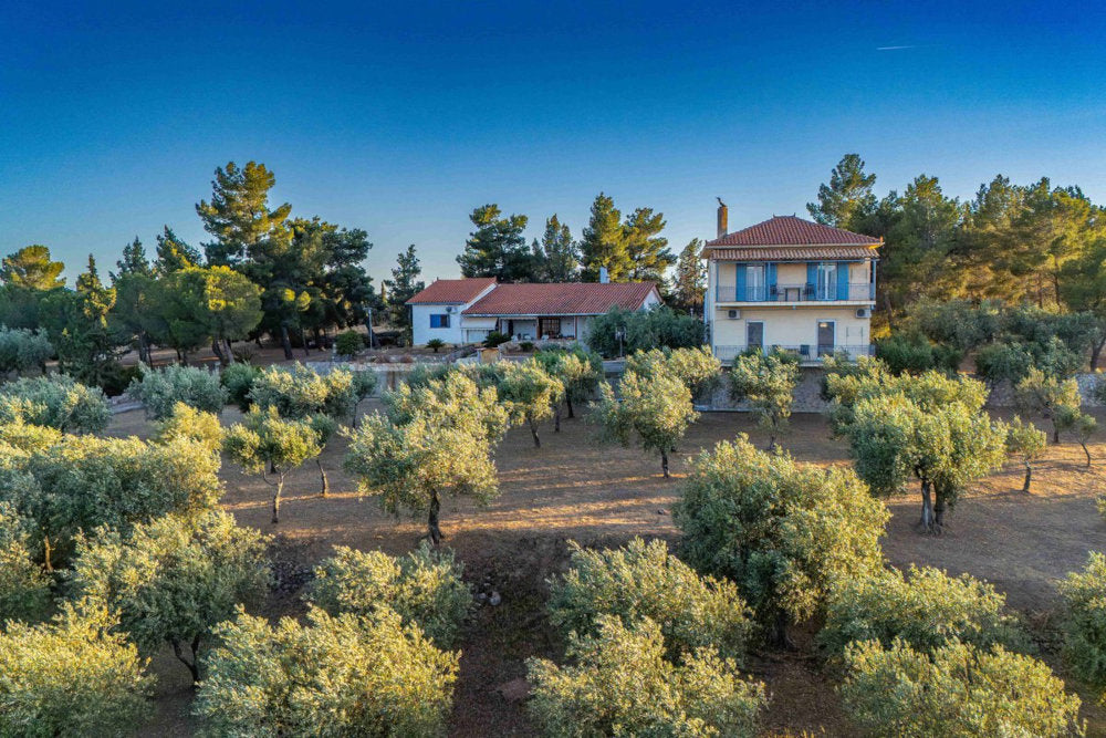 Maistros Studios Galaxidi