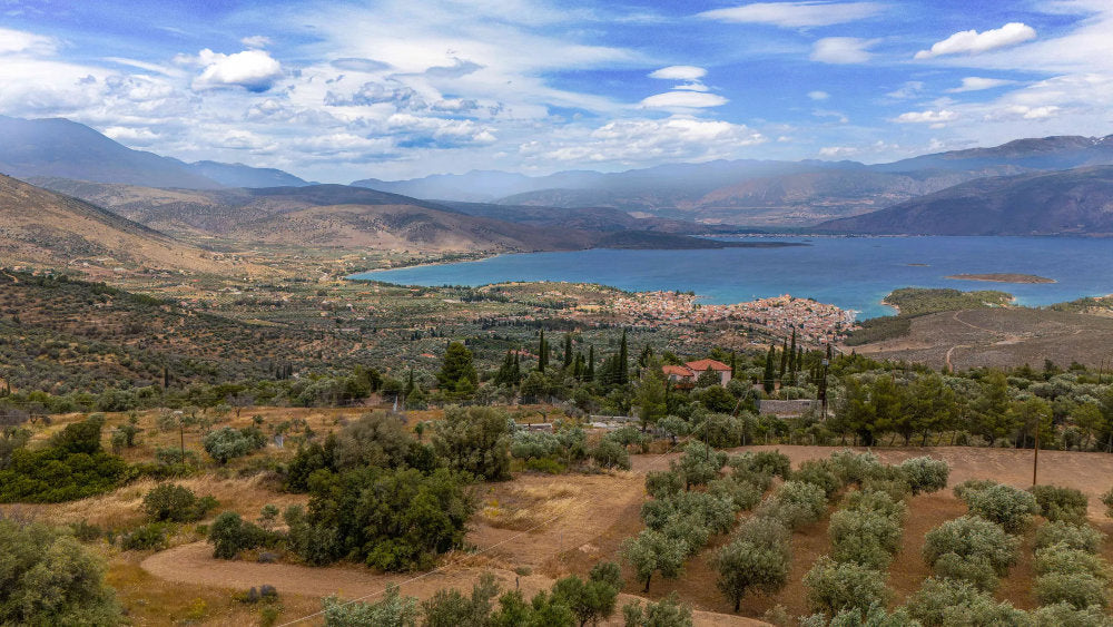 Maistros Studios Galaxidi