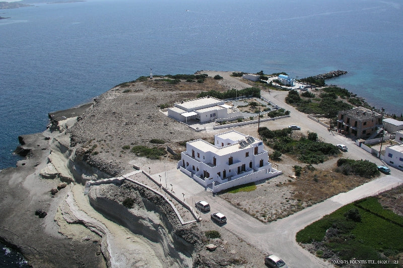 Markantonio Studios Pollonia