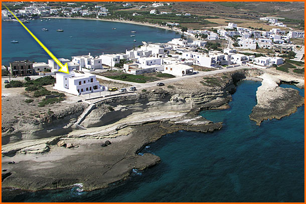 Markantonio Studios Pollonia