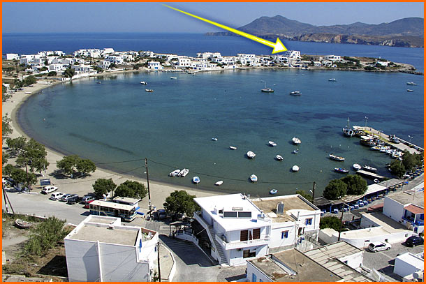 Markantonio Studios Pollonia