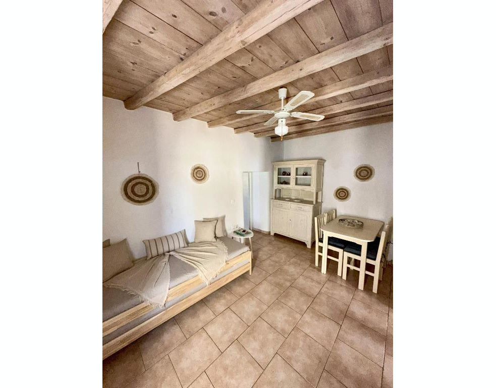 Naoussa Appartamento Nesa