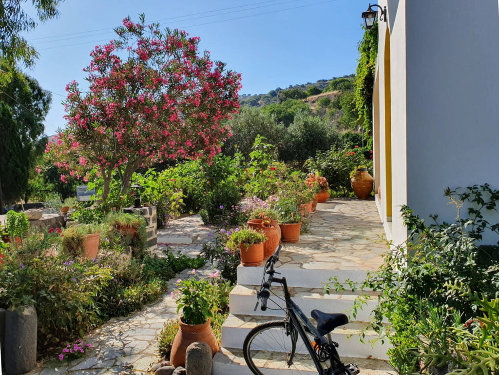 Nisyros Pali Studios