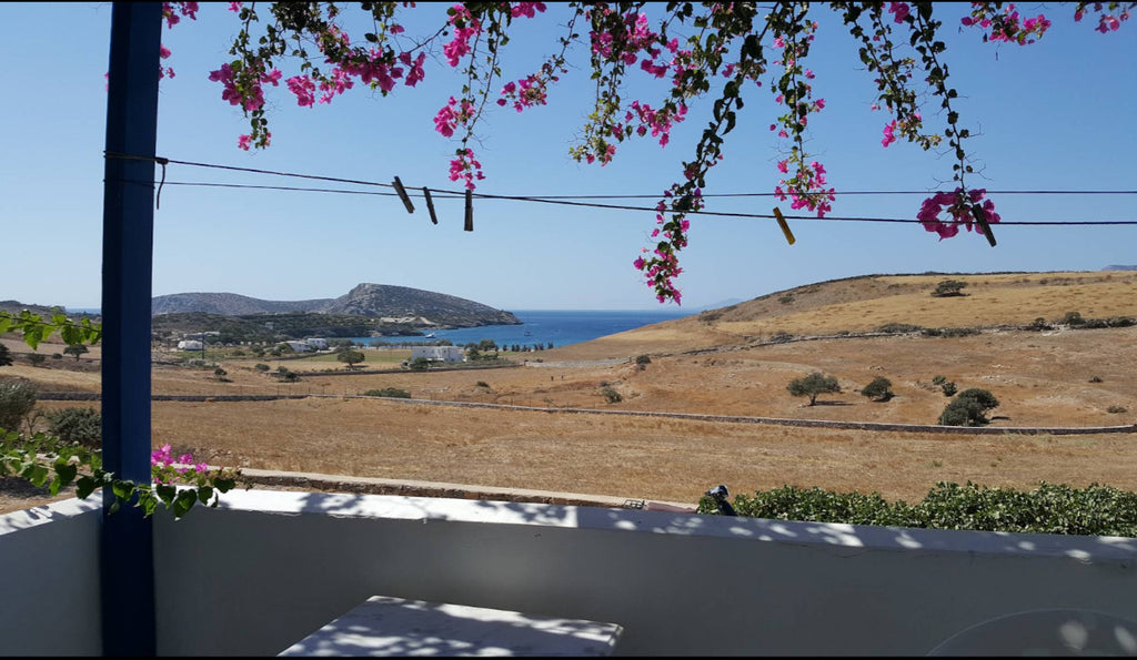 Panorama Studios