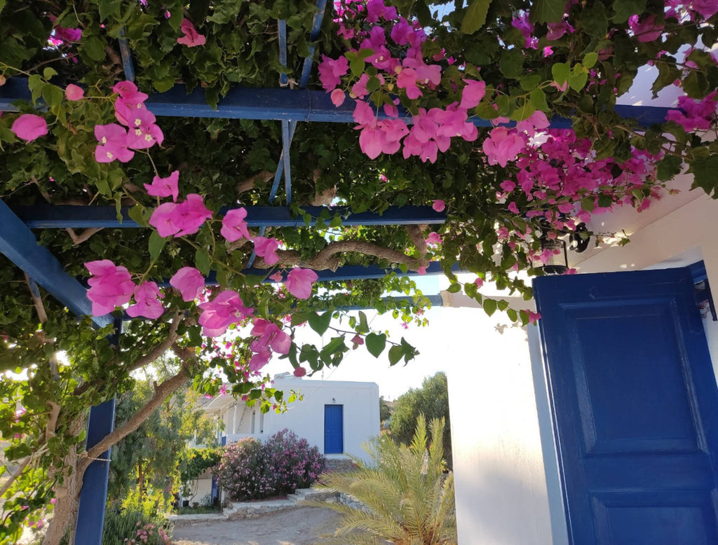 Panorama Studios