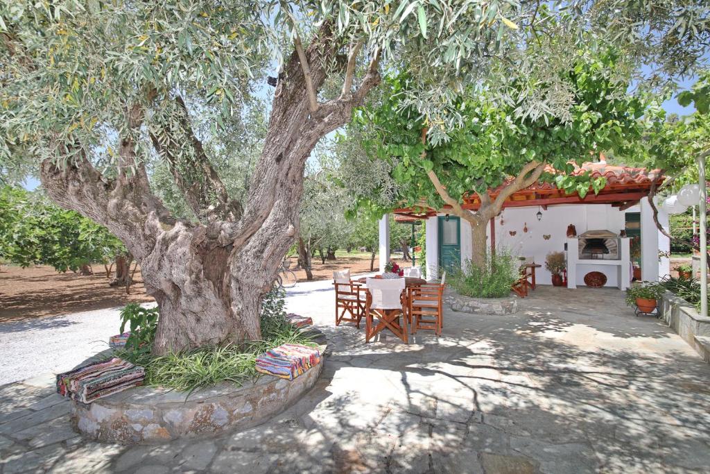 Panormos studios nel verde