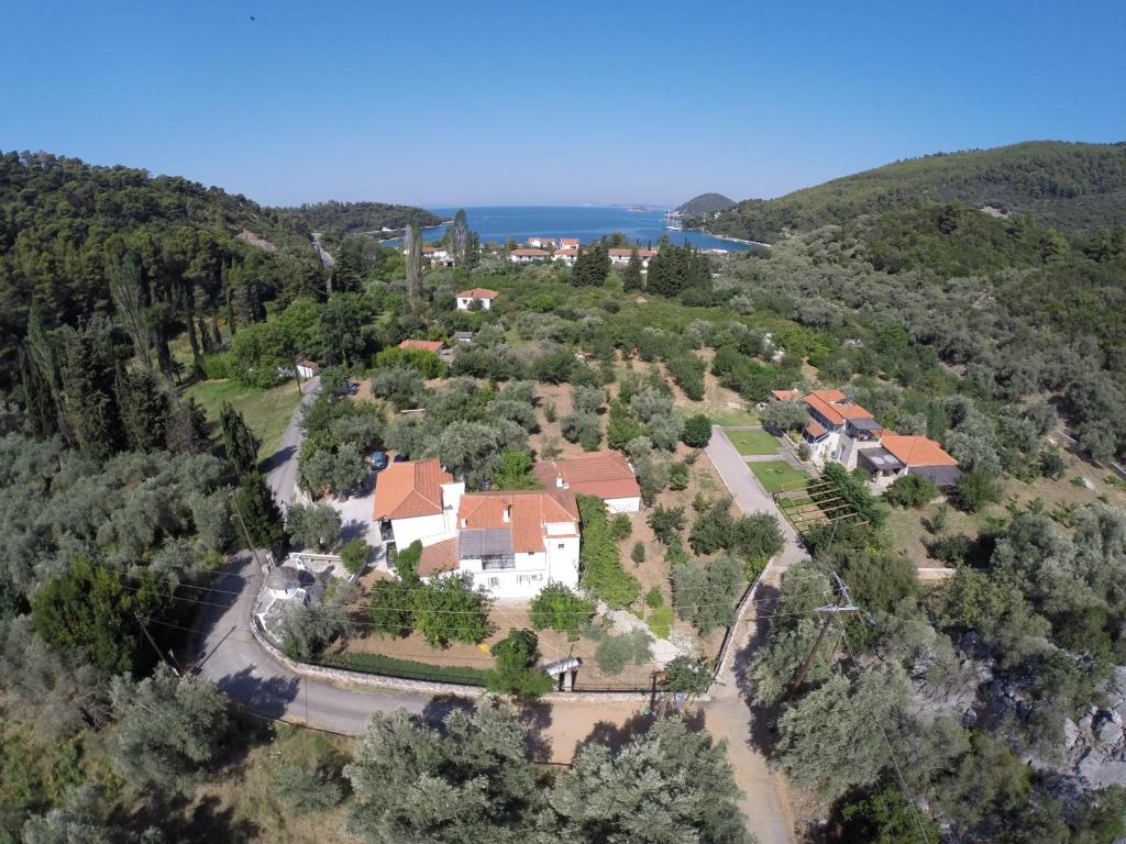 Panormos studios nel verde