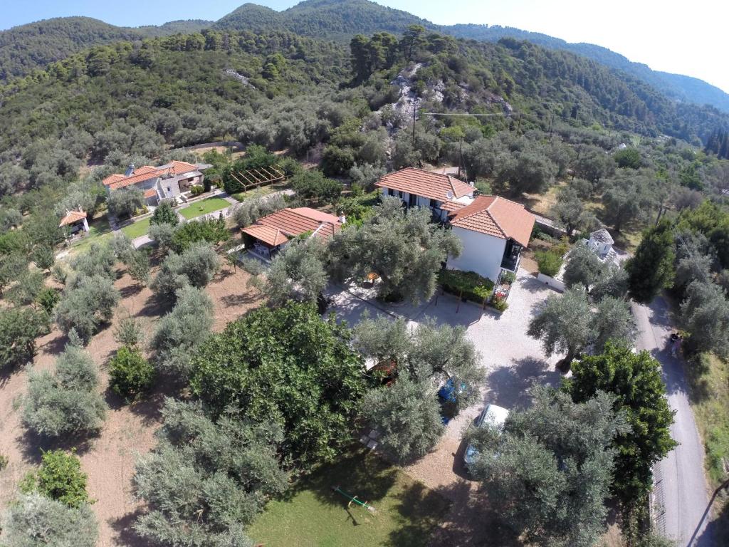 Panormos studios nel verde