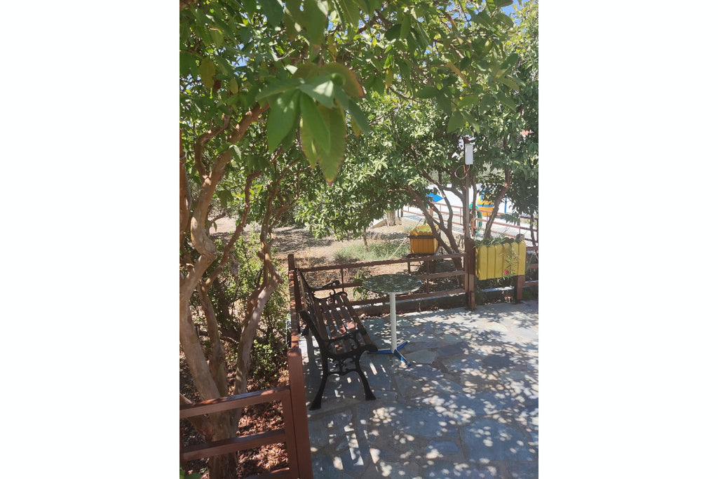 Paradise Studios Lipsi