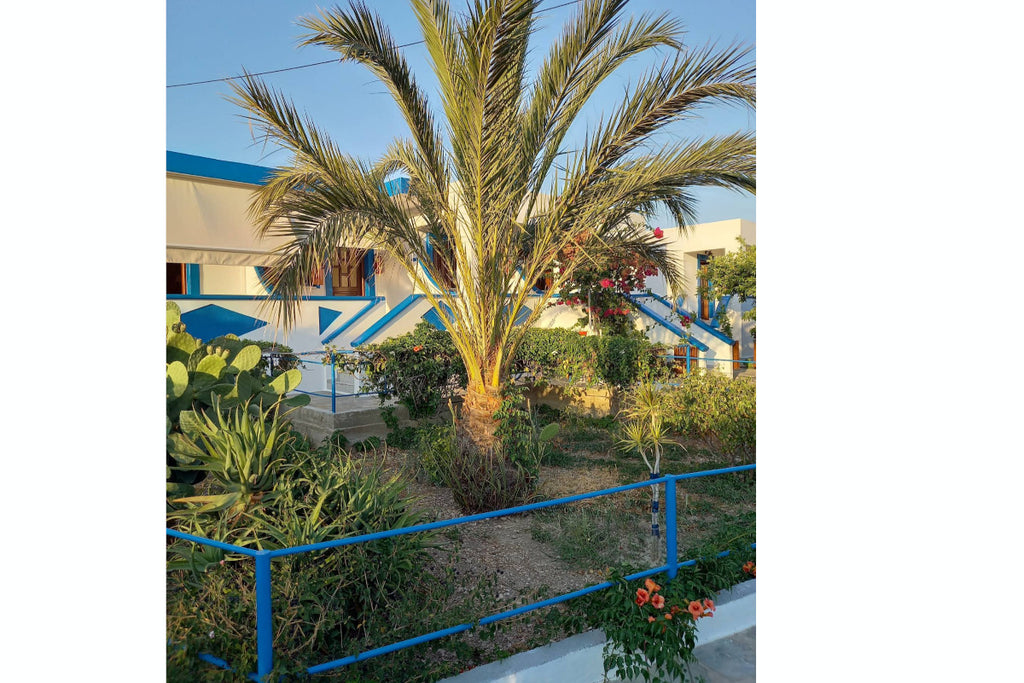 Paradise Studios Lipsi