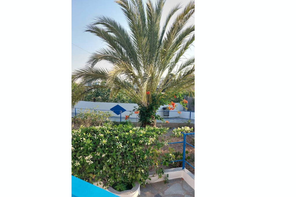 Paradise Studios Lipsi