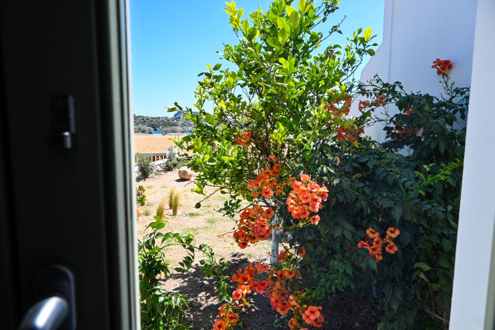 Irene beach hotel Schinoussa