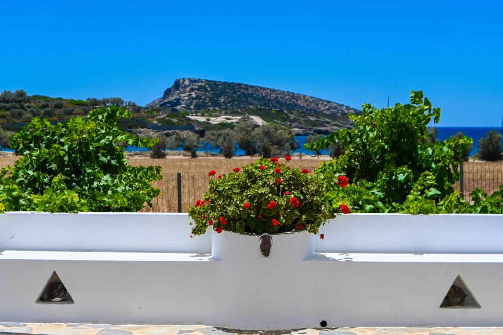 Irene beach hotel Schinoussa