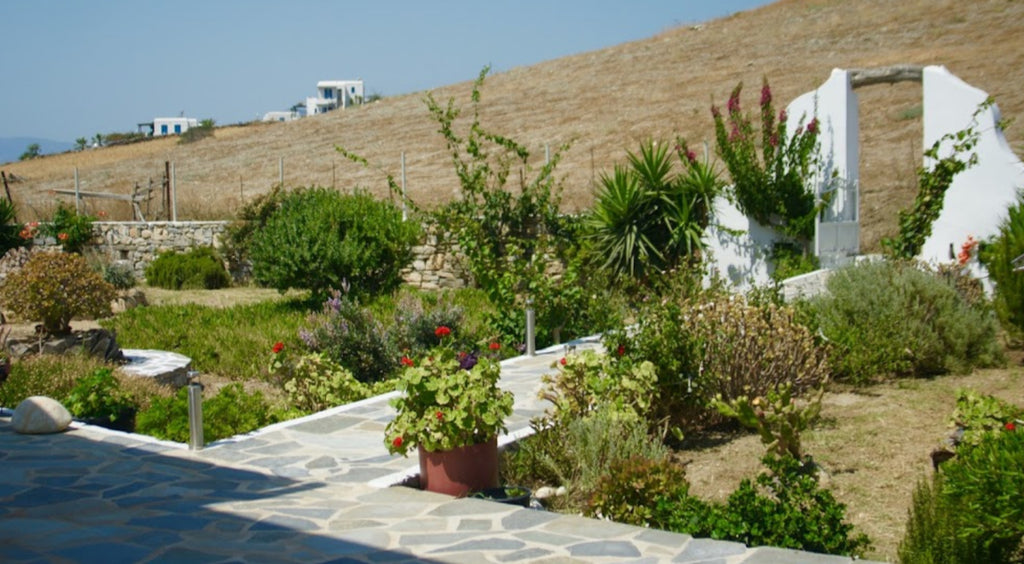 Irene beach hotel Schinoussa