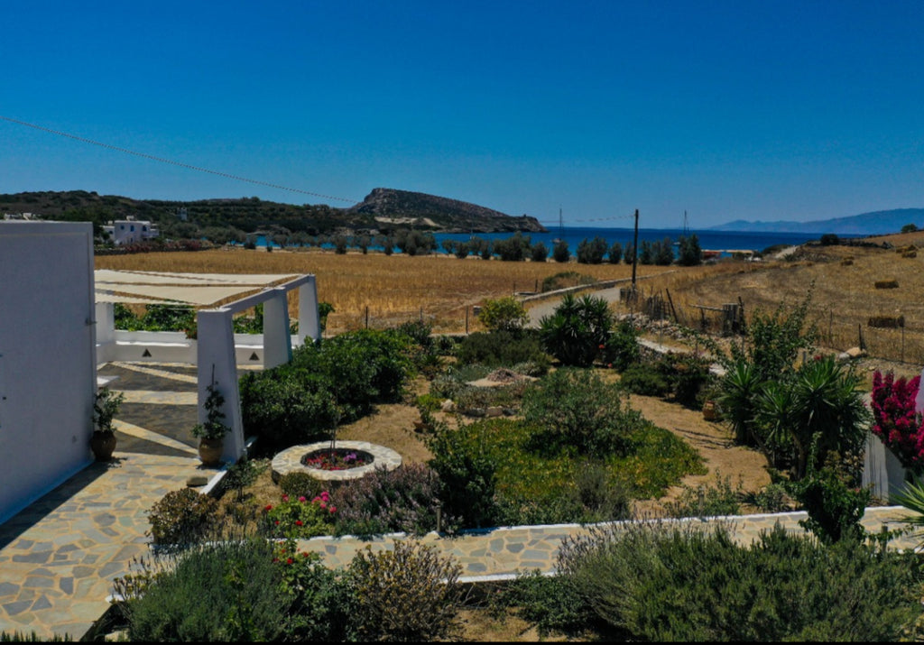 Irene beach hotel Schinoussa