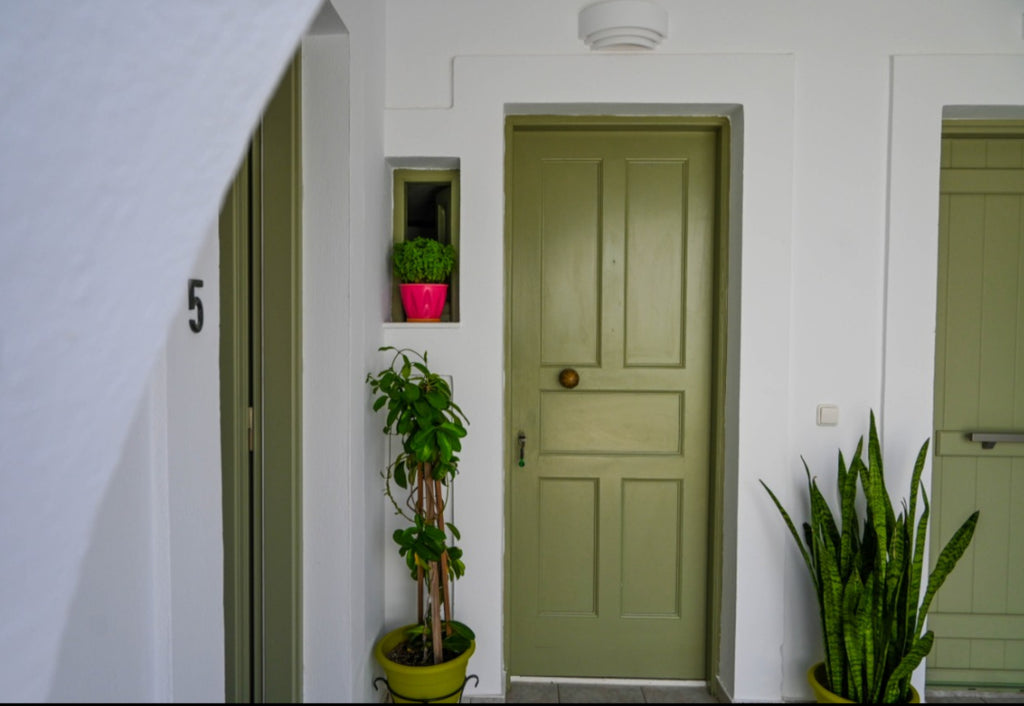 Irene beach hotel Schinoussa