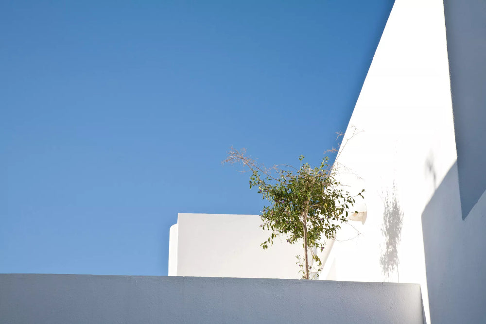 Smaragdi Hotel Artemonas