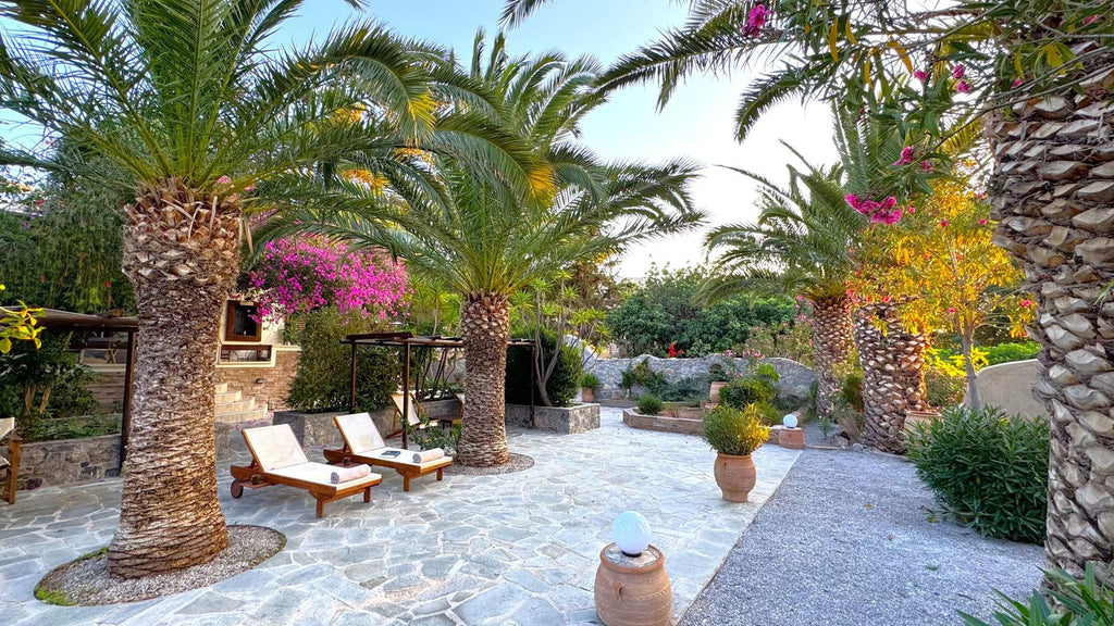 Kato Zakros appartamenti di Stella