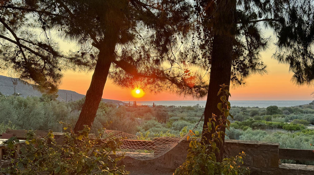 Kato Zakros appartamenti di Stella