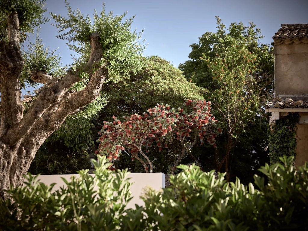 Tsilivi studios & apartments