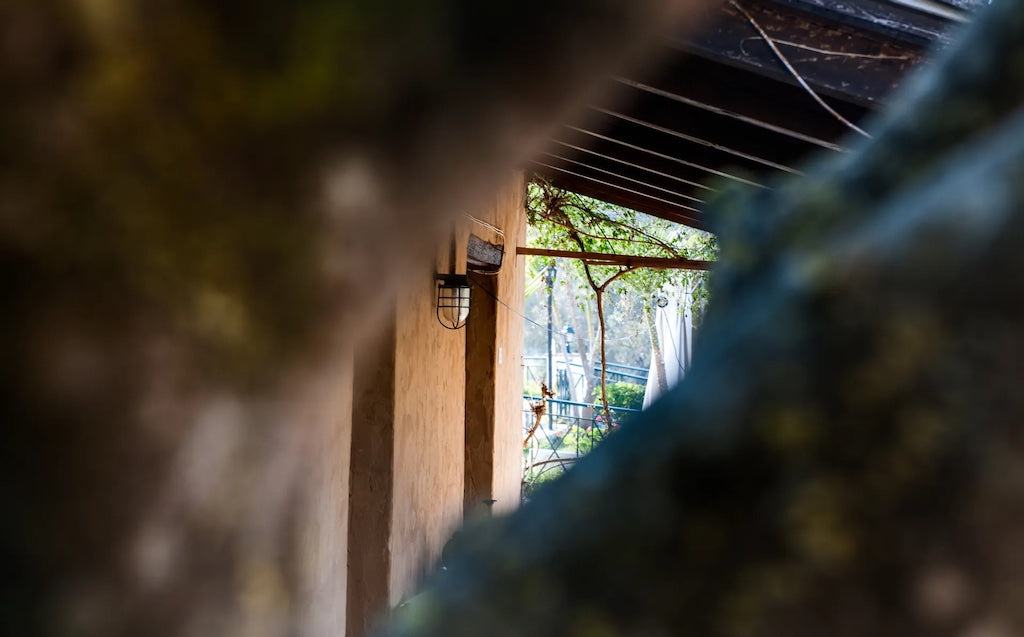 Tsilivi studios & apartments