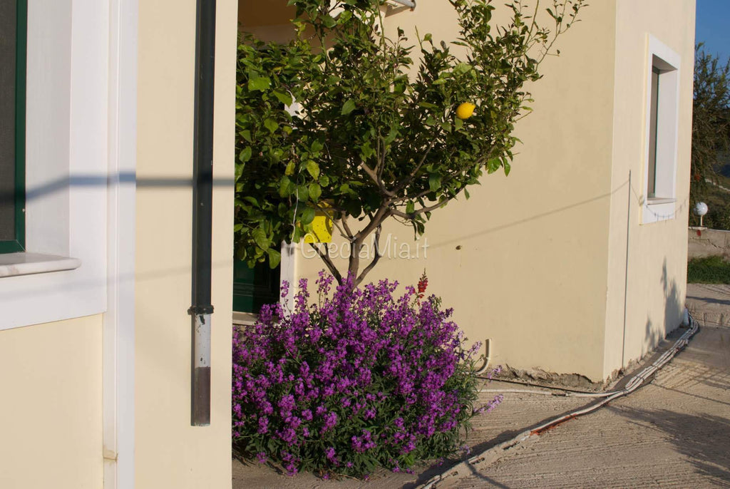 Studios con bella vista - Agios Efstratios