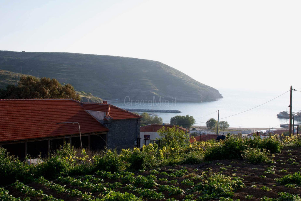 Studios con bella vista - Agios Efstratios