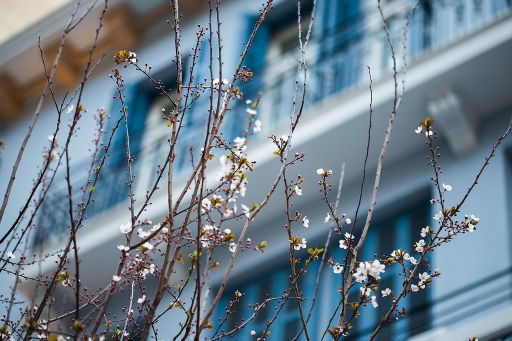 Bahar Boutique Hotel