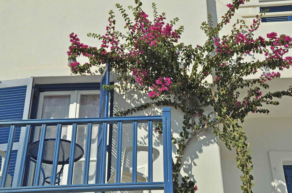 Paros alberghi con colazione