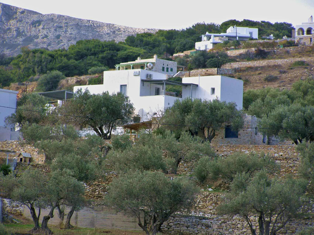 studios Paros