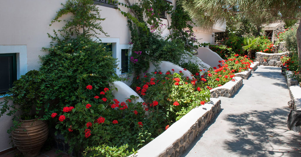 Santorini hotel